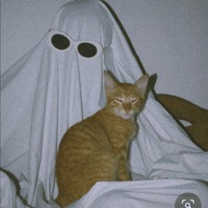 Meet your Posher, Shane